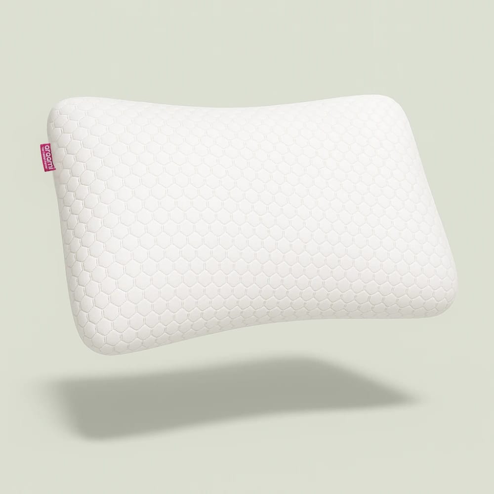 Recline Classic Memory Foam Pillow